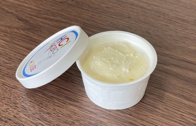 premium vanilla ice cream